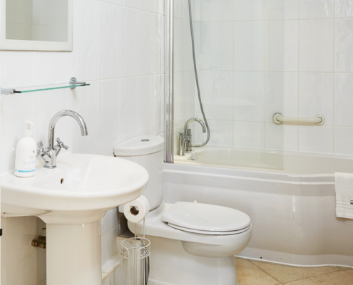 Puffin Bathroom